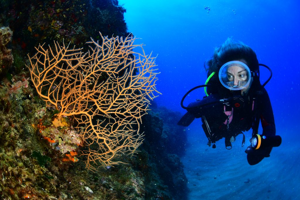 buceo blanes buceando